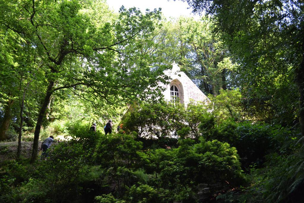 Le Gite De L'Araucaria Ploërdut Zewnętrze zdjęcie