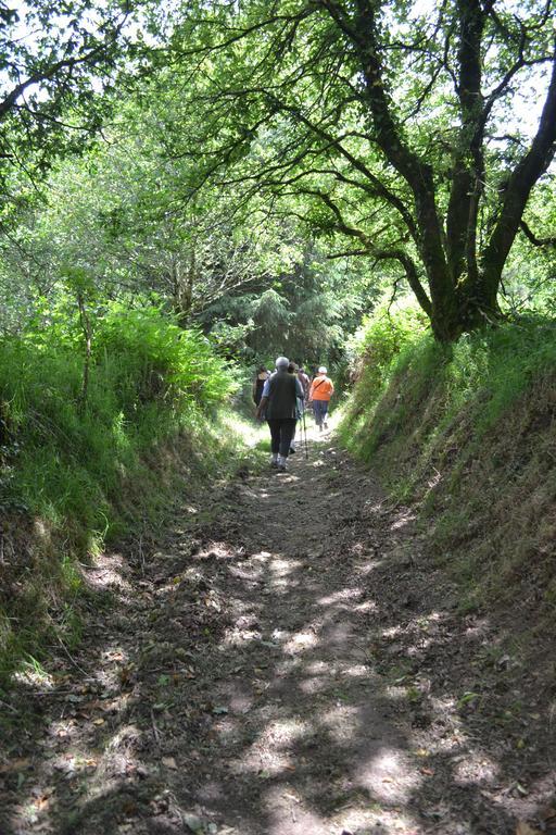 Le Gite De L'Araucaria Ploërdut Zewnętrze zdjęcie